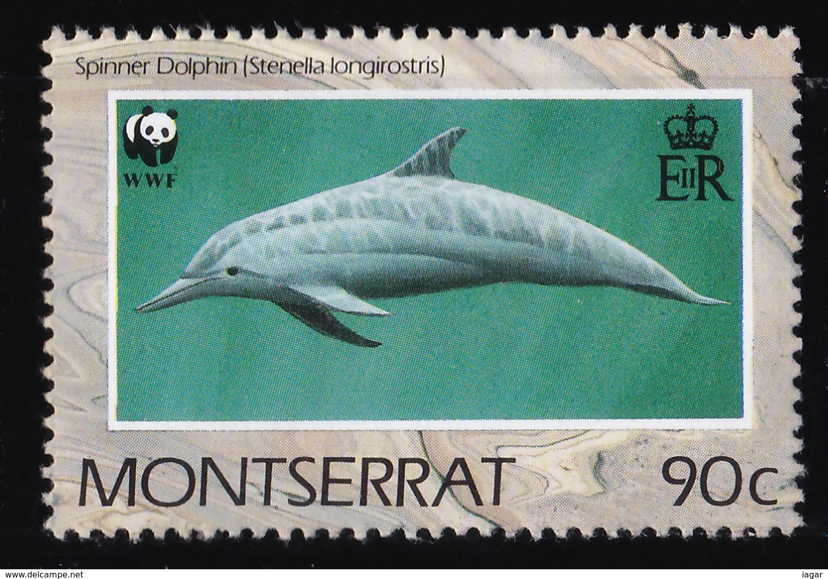 THEMATIC FISH:  DOLPHINS - MONTSERRAT - Dolphins