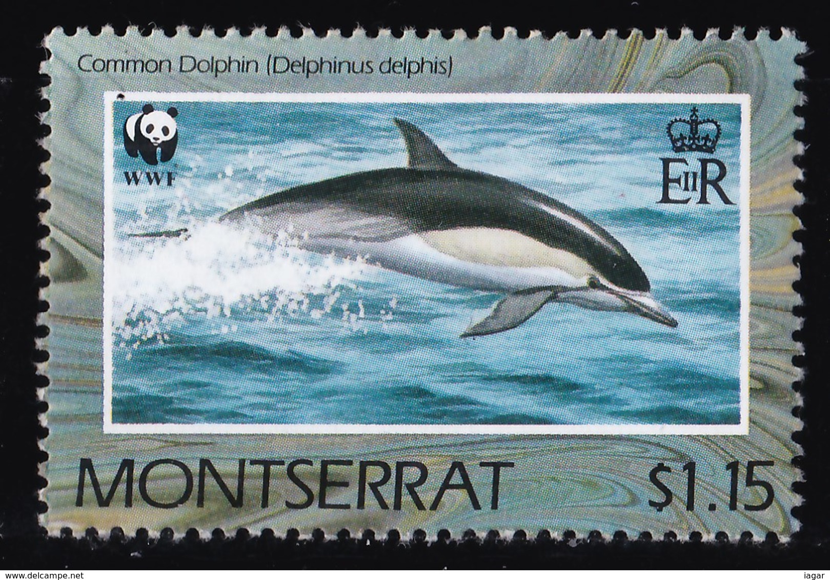 THEMATIC FISH:  DOLPHINS - MONTSERRAT - Dolphins