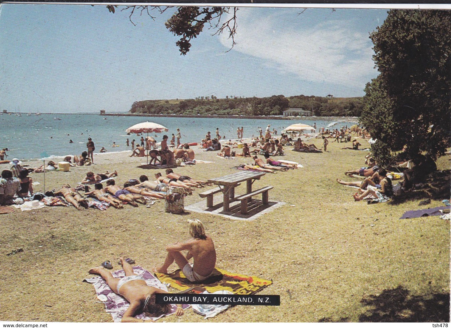 NOUVELLE-ZELANDE---RARE---AUCKLAND--OKAHU DAY--voir 2 Scans - Nouvelle-Zélande