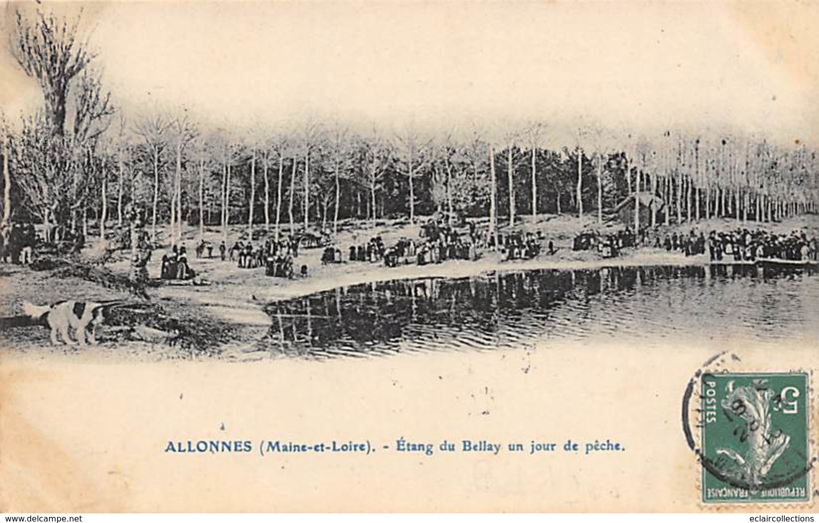 Allonnes    49       Etang Du Bellay Un Jour De Pêche     (voir Scan) - Allonnes