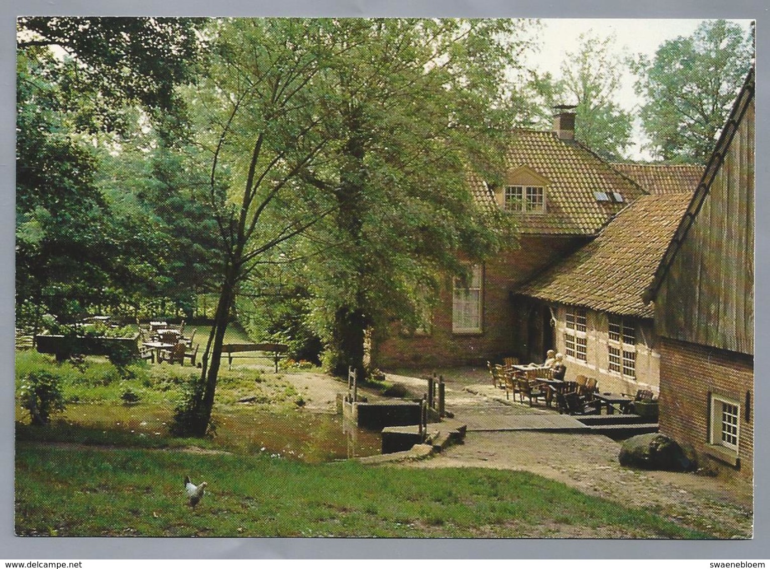 NL.- MANDER. Theeschenkerij Restaurant. Watermolen Bels. Bergweg 9 Mander Bij Vasse. - Autres & Non Classés