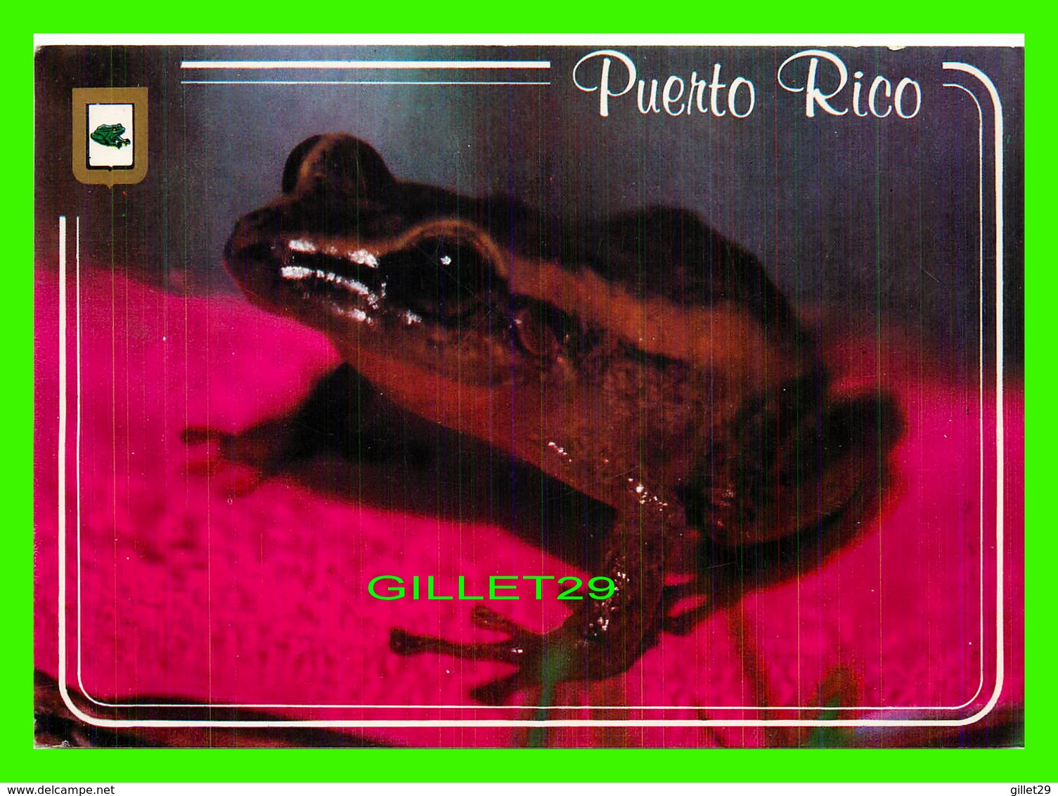 ANIMAUX - GRENOUILLE COQUI - SYMBOLE DE PUERTO RICO - CIRCULÉE EN 1987 - - Autres & Non Classés