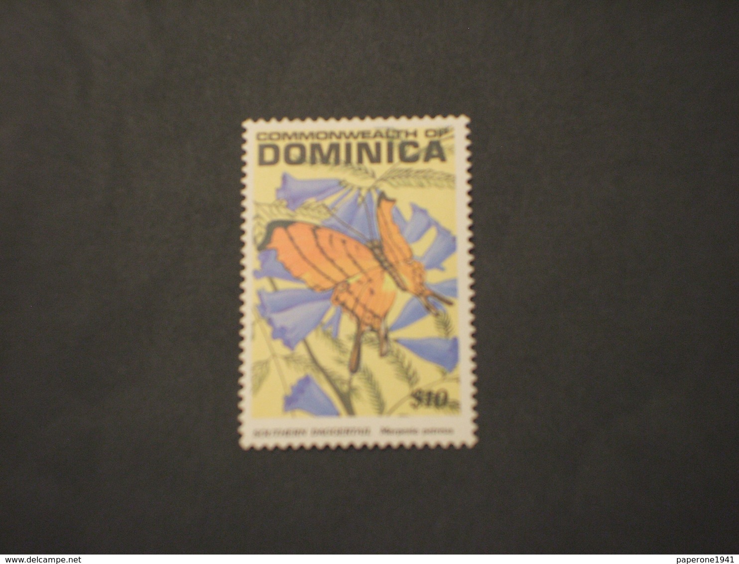 DOMINICA - 1991 FARFALLA  - NUOVO(++) - Dominique (1978-...)