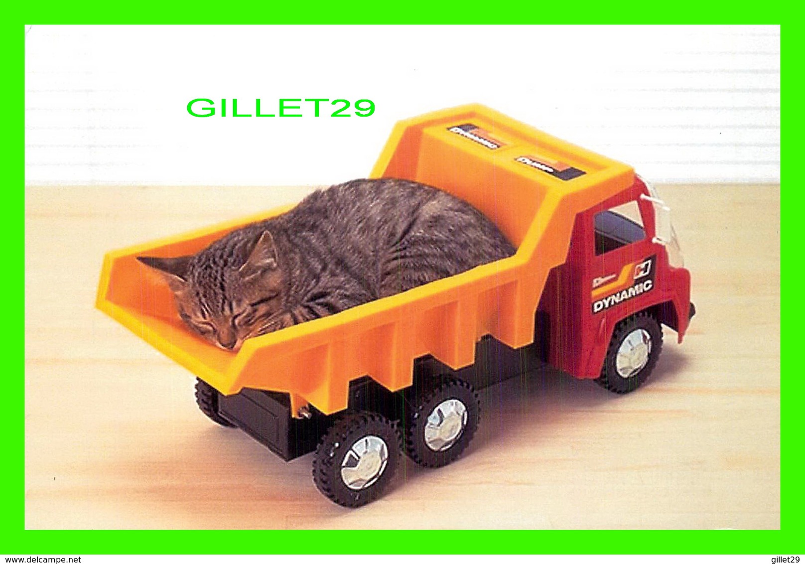 ANIMAUX - CATS, CHAT COUCHÉ DANS UN CAMION JOUET DYNAMIC - - Chats