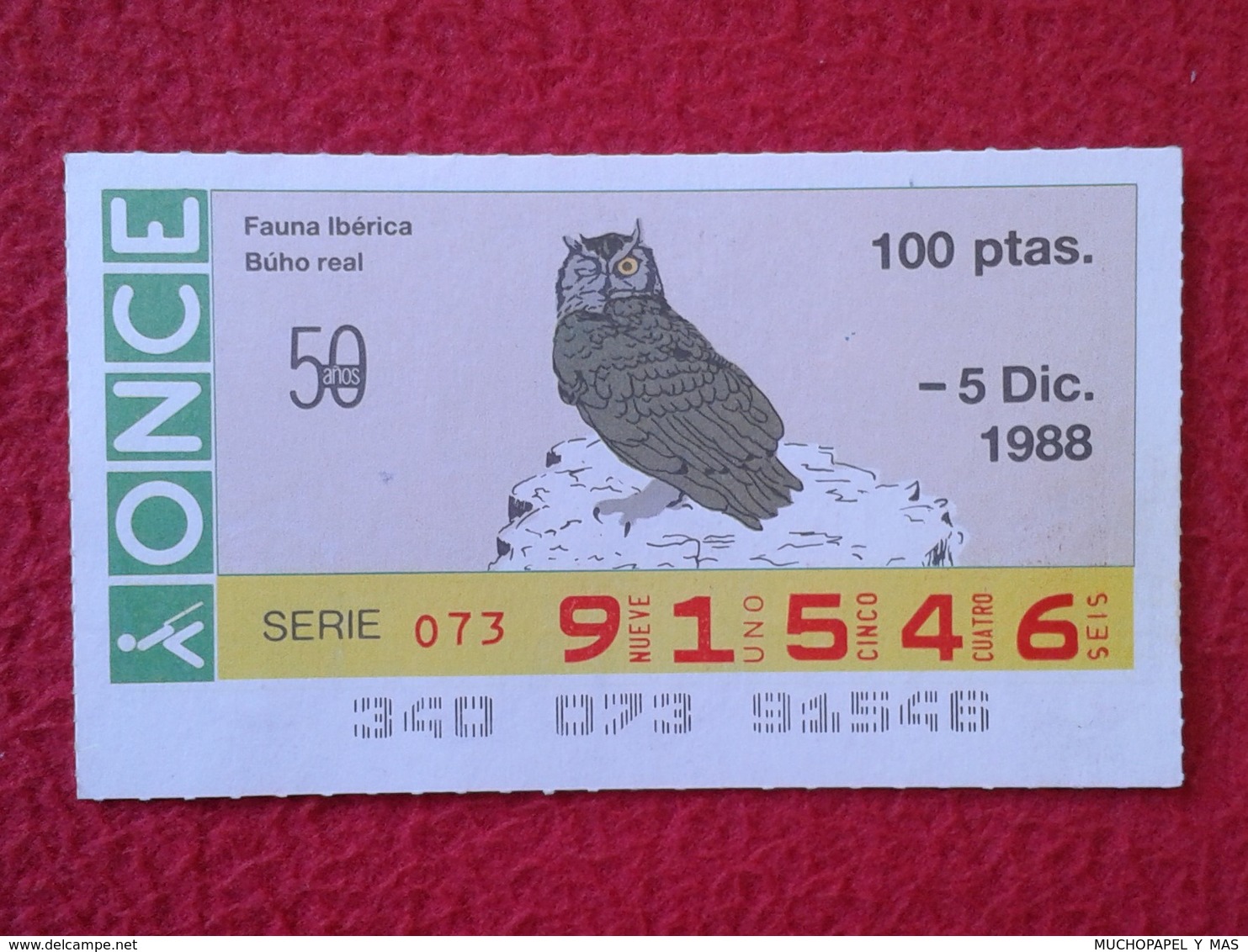 SPAIN DÉCIMO CUPÓN DE ONCE LOTERÍA LOTTERY LOTERIE ANIMAL FAUNA IBÉRICA WILDLIFE BÚHO REAL LECHUZA O SIMIL OWL HIBOU VER - Loterijbiljetten