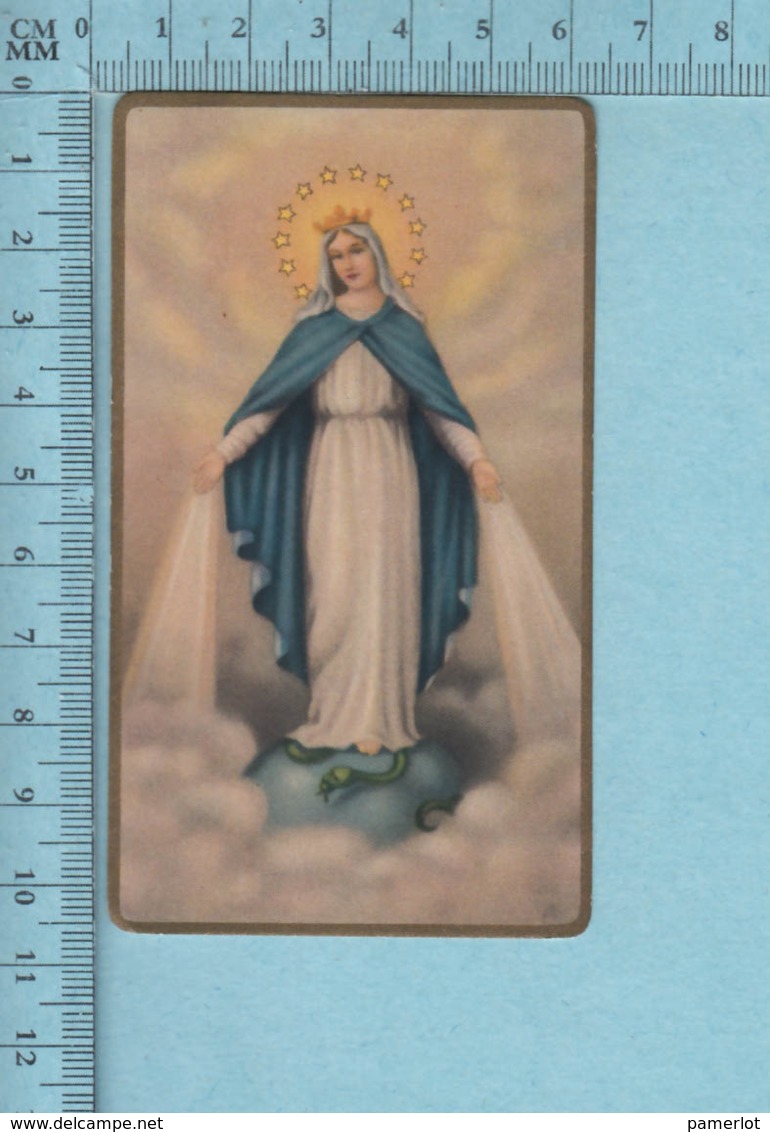 USA 805- Gold Print, Vierge Marie écrasant Le Serpent  -  Image Pieuse, Religieuse, Holy Card, Santini - Images Religieuses