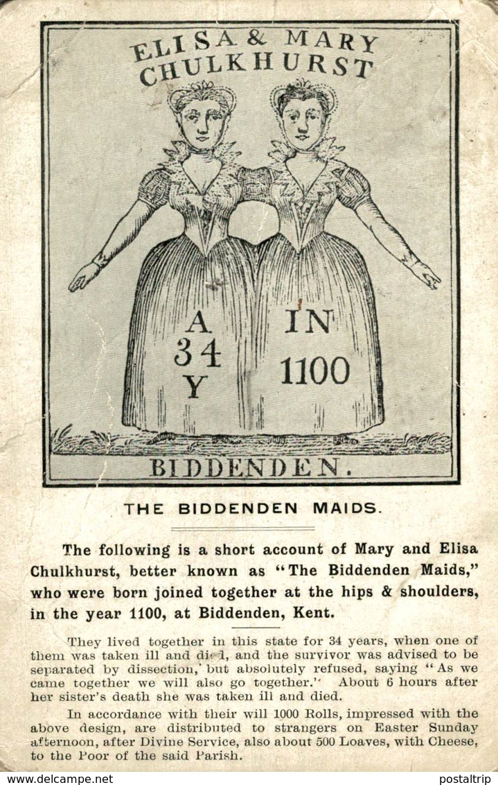 Young & Cooper Postcard, Elisa And Mary Chulkhurst, The Biddenden Maids (conjoined Twins) ETAT - Publicidad