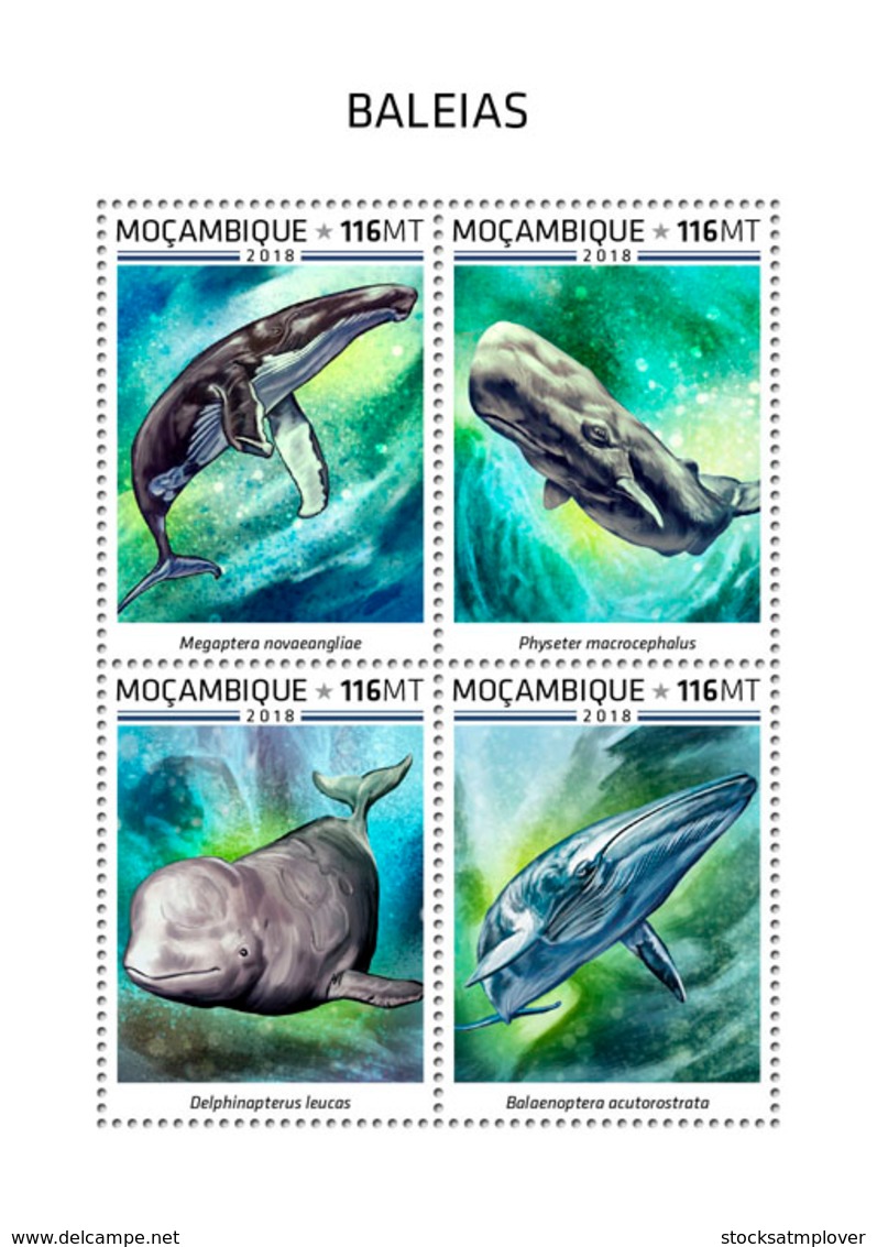 Mozambique  2018   Whales   Fauna  S201812 - Mozambique