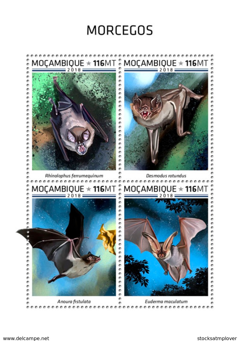 Mozambique  2018  Bats Fauna  S201812 - Mosambik