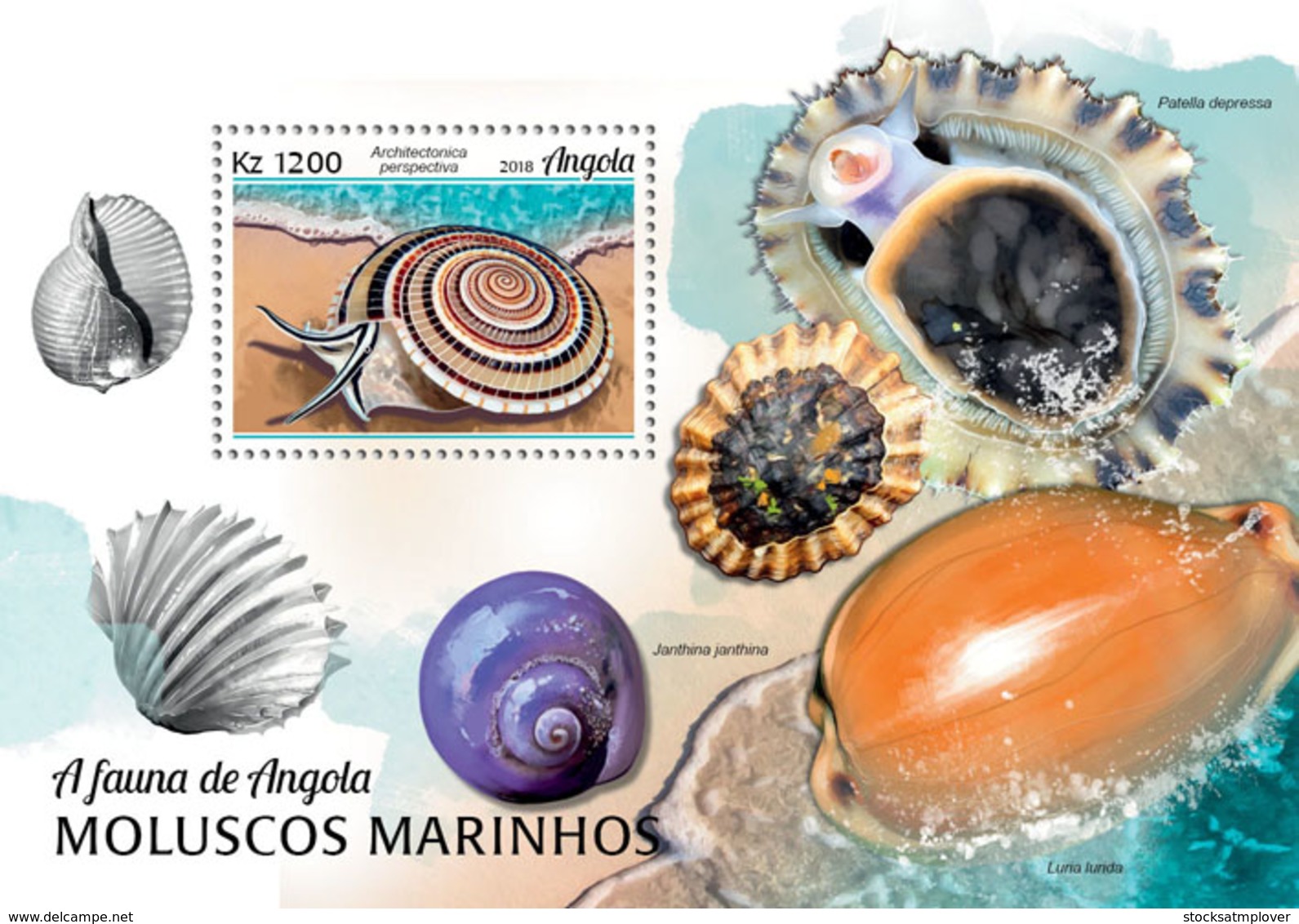 Angola 2018  Marine Molluscs Of Angola ,shells - Angola