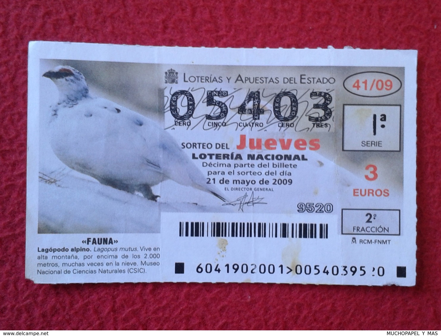 SPAIN DÉCIMO CUPÓN DE LOTERÍA LOTTERY LOTERIE ANIMAL FAUNA WILDLIFE BIRDS BIRD LAGÁPODO ALPINO PERDIZ PARTRIDGE VER FOTO - Billetes De Lotería