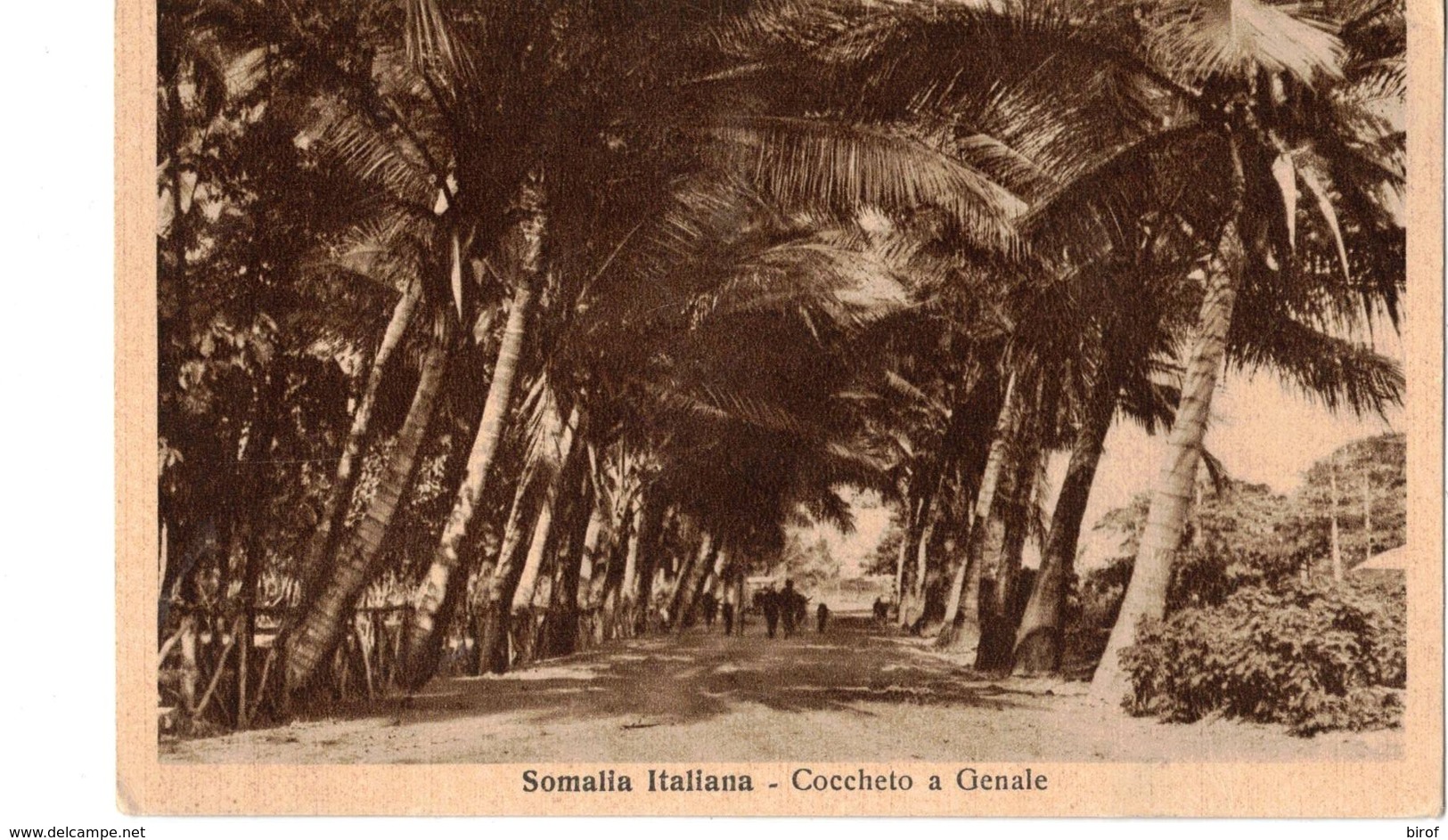 SOMALIA ITALIANA - COCCHETO A GENALE - Somalia