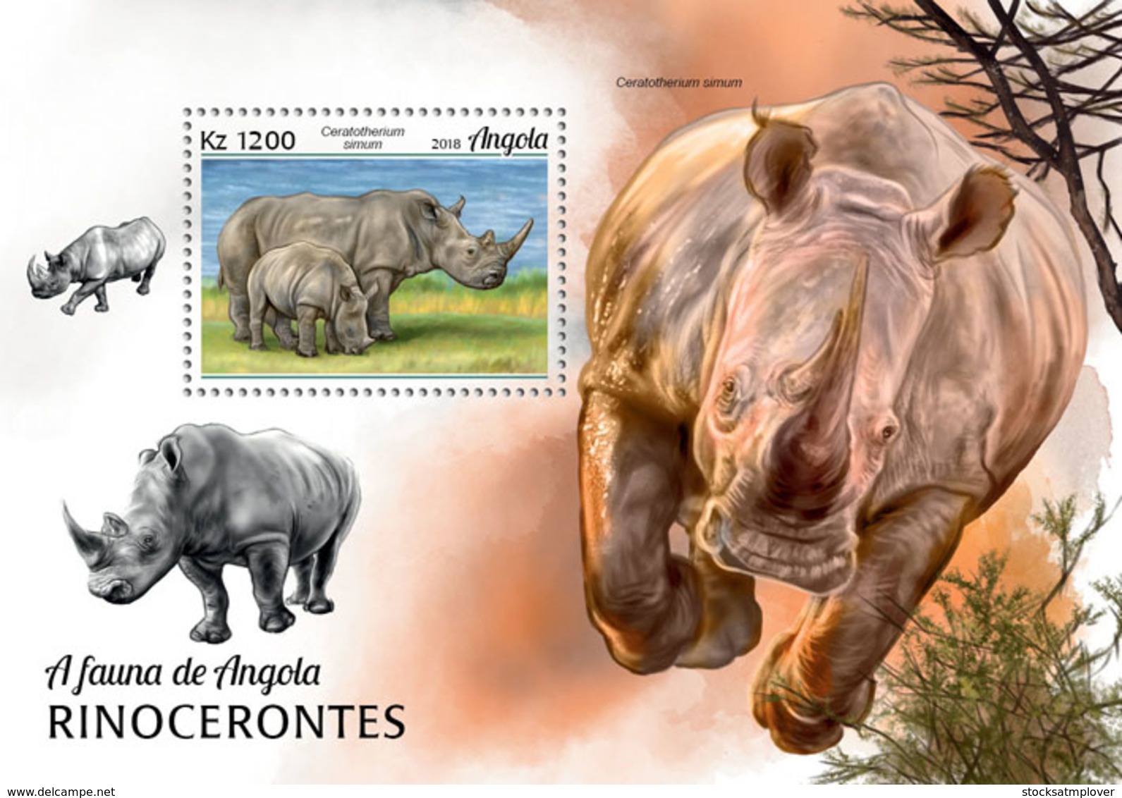 Angola 2018 Fauna Rhinos S201812 - Angola