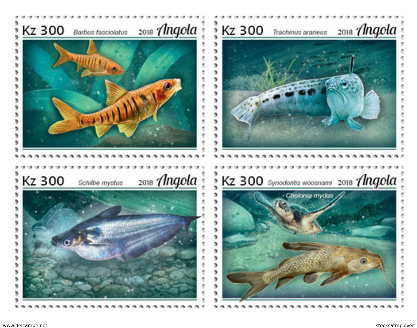 Angola 2018  Fauna  Fishes - Angola