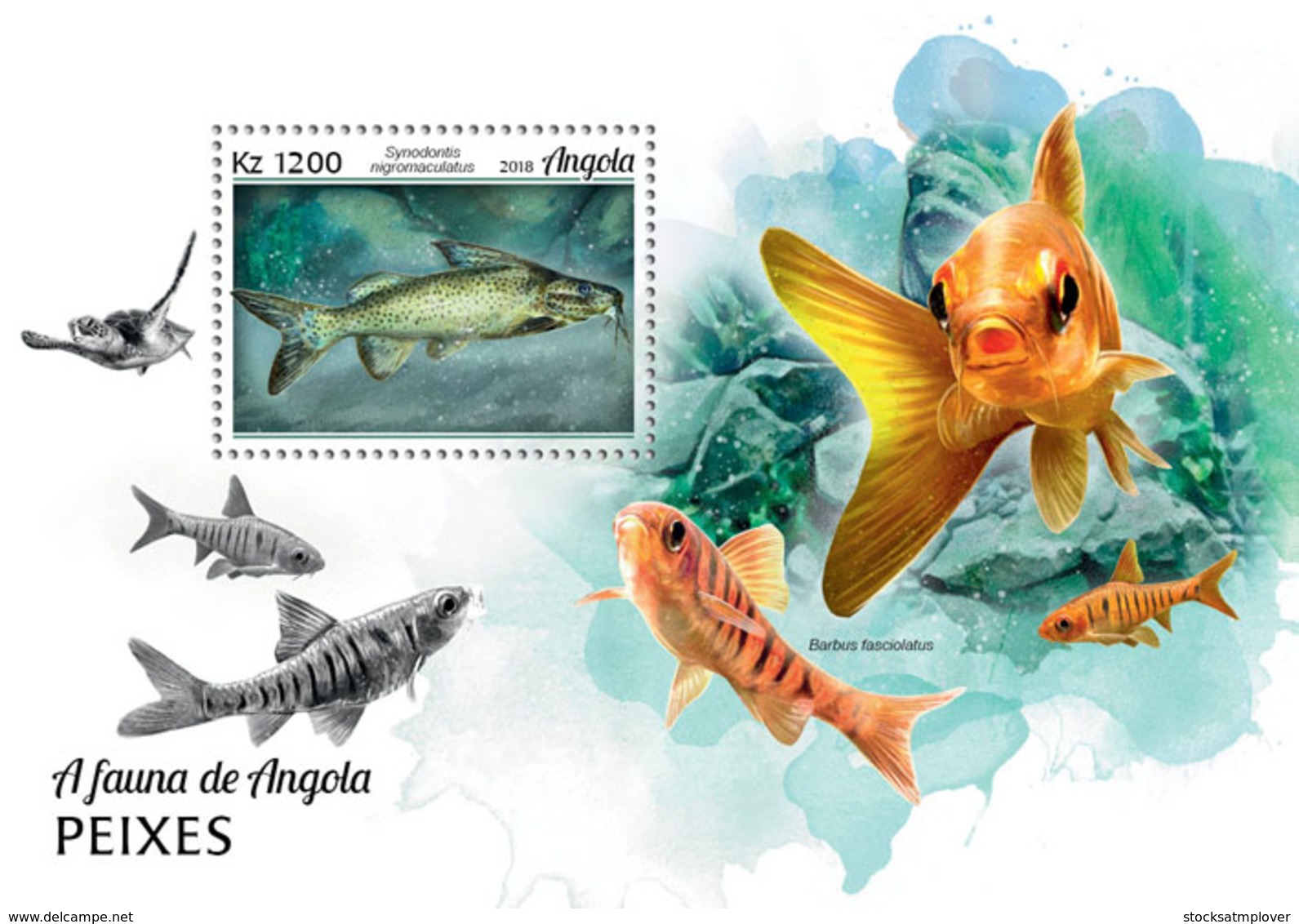 Angola 2018  Fauna  Fishes - Angola