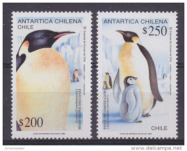 Chile 1992 Antarctica / Penguins 2v ** Mnh (41741A) - Andere & Zonder Classificatie