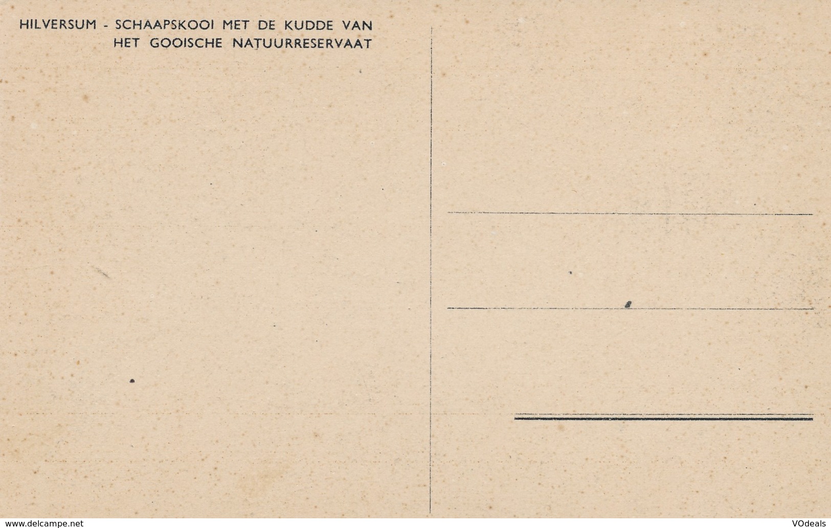 CPA - Pays-Bas - Noord-Holland - Hilversum - Schaapskooi Met De Kudde - Hilversum