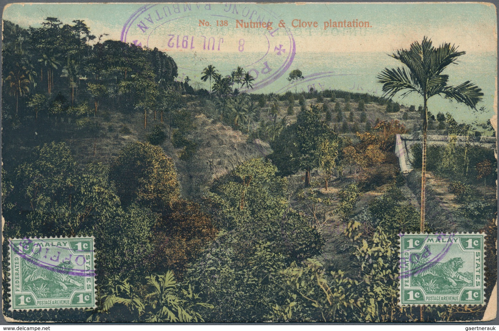 Malaiischer Staatenbund: 1912. Picture Post Card (rounded Corners, Rubbed) Of 'Nutmeg And Clove Plan - Federated Malay States