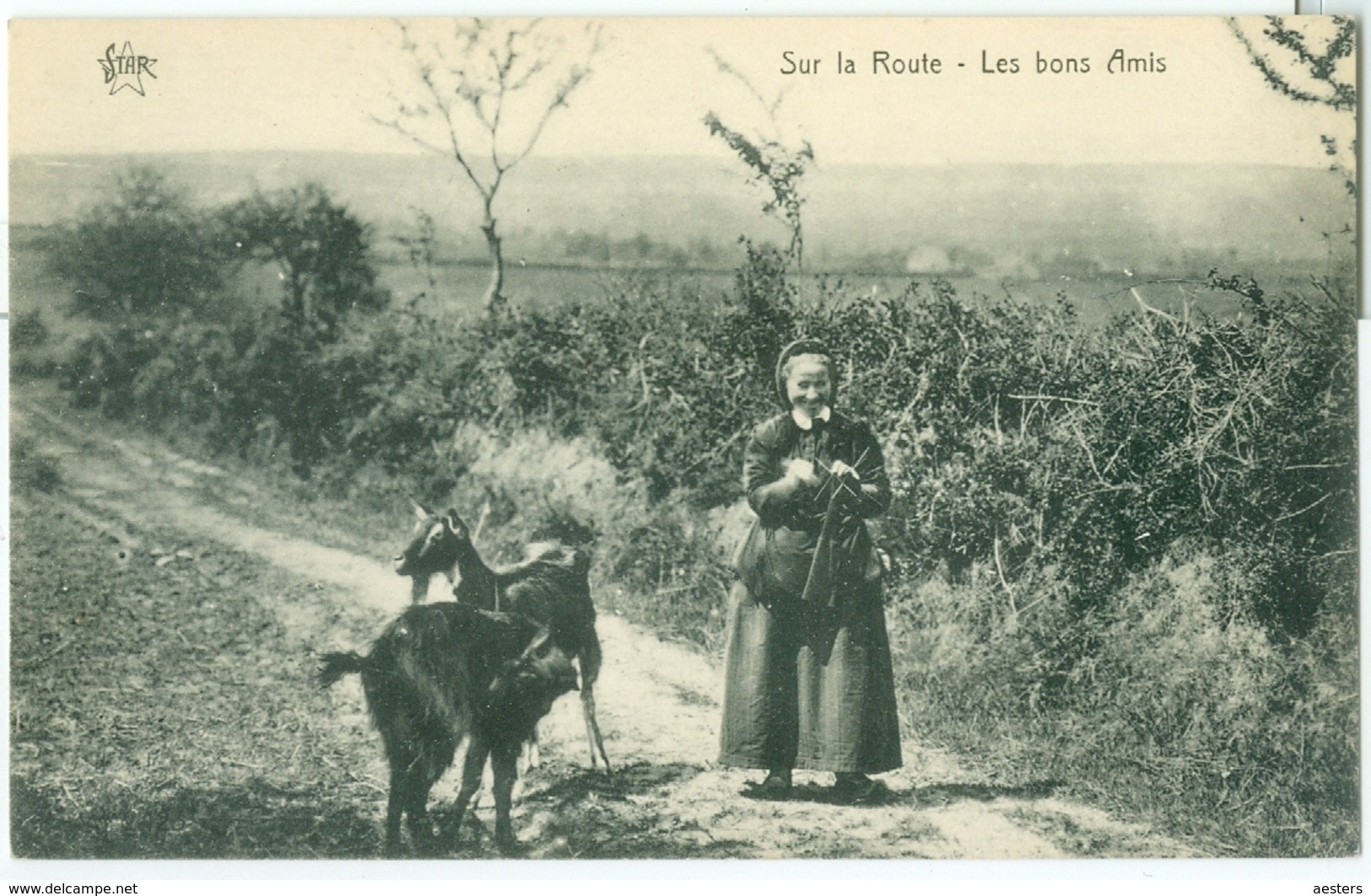 Environs De ??; Sur La Route. Les Bons Amis (Femme Tricot) - Non Voyagé. (Star) - Sonstige & Ohne Zuordnung