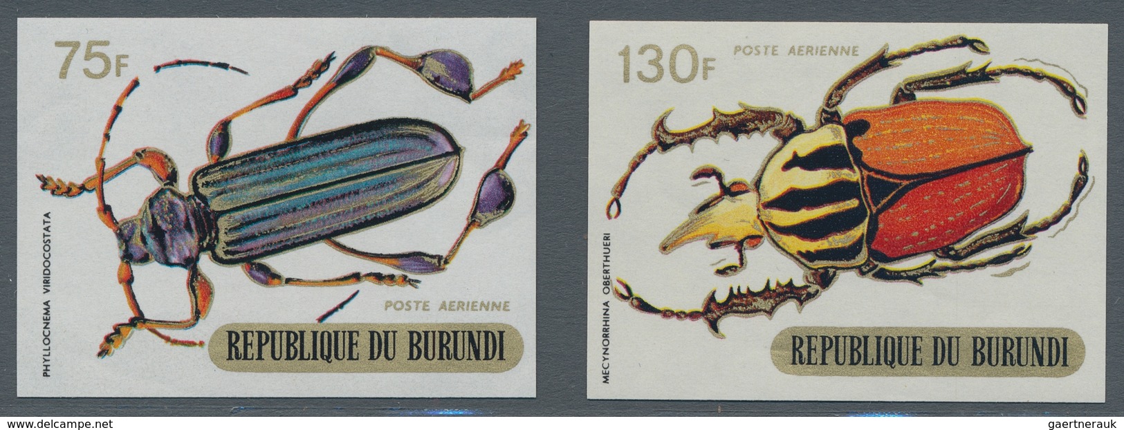 Thematik: Tiere-Insekten / animals-insects: 1970, BURUNDI: Beetles complete set of nine IMPERFORATE
