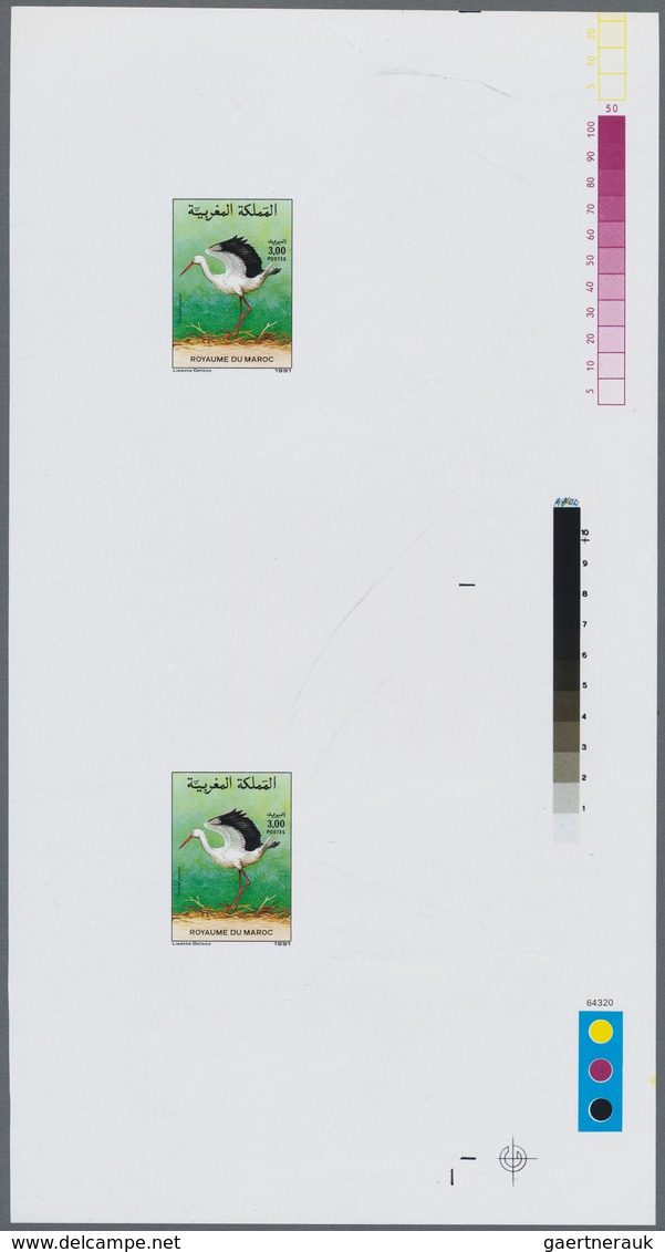 Thematik: Tiere-Vögel / Animals-birds: 1991, MOROCCO: Birds 3.00dh. 'Ciconia Ciconia' And 3.00dh. 'M - Other & Unclassified