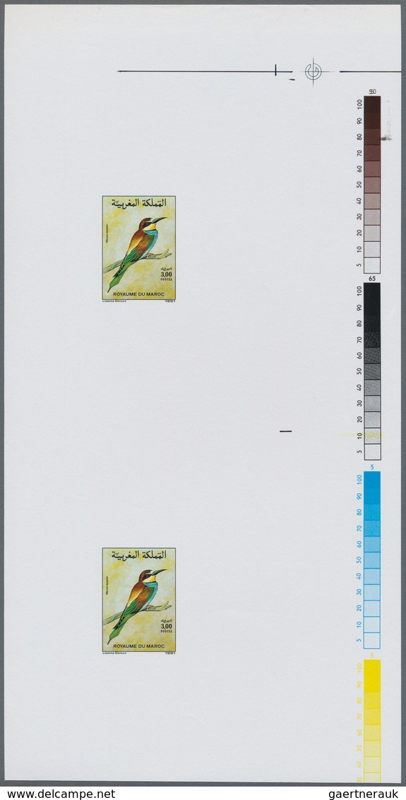 Thematik: Tiere-Vögel / Animals-birds: 1991, MOROCCO: Birds 3.00dh. 'Ciconia Ciconia' And 3.00dh. 'M - Other & Unclassified