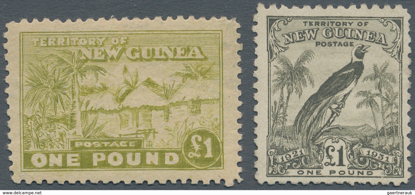 Neuguinea: 1925/1931, Huts £1 Dull Olive-green (mint Hinged) And Bird Of Paradise £1 Olive-grey With - Papoea-Nieuw-Guinea