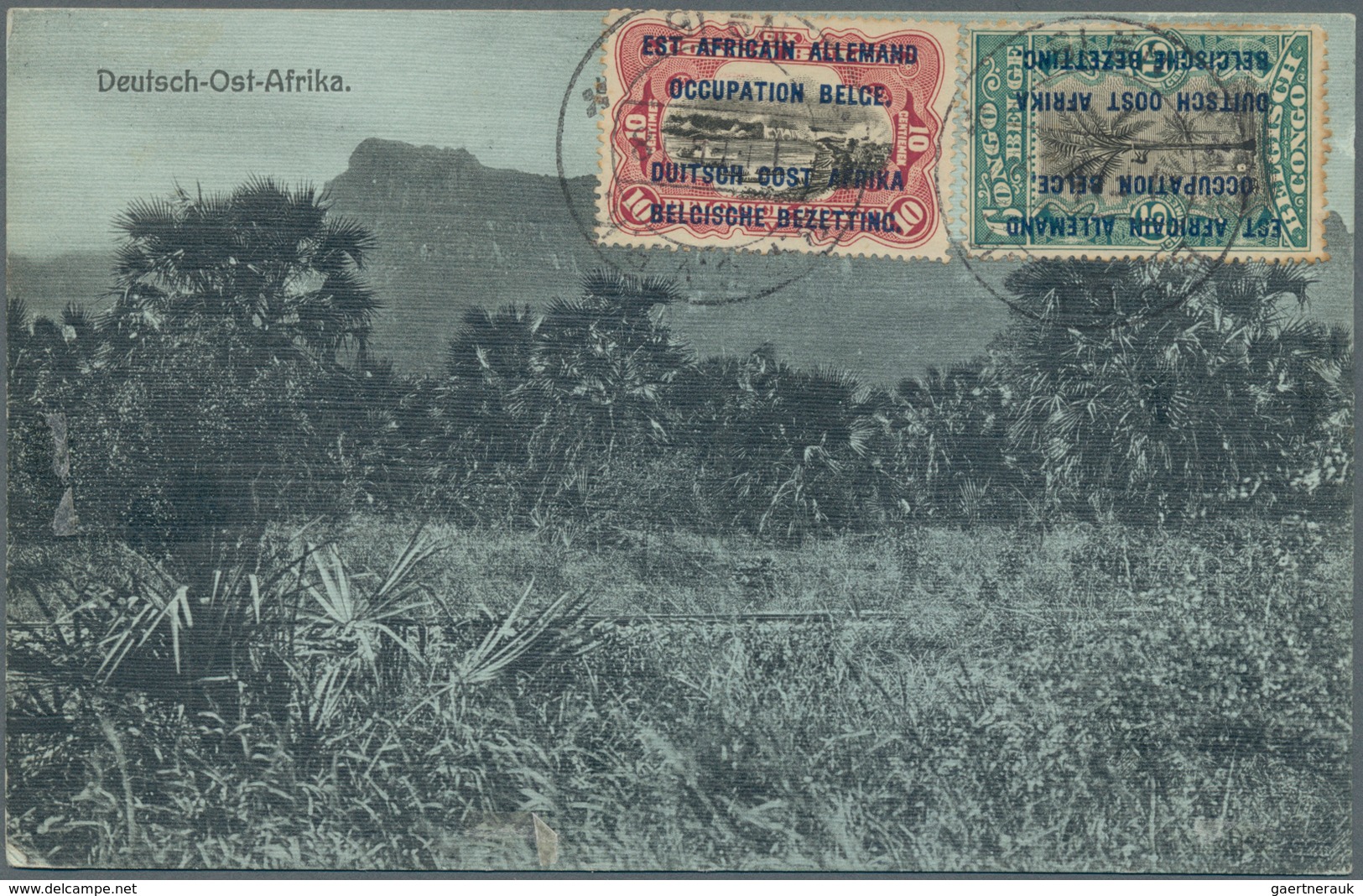 Ruanda-Urundi - Belgische Besetzung Deutsch-Ostafrika: 1918 Registered Picture Post Card Of 'Jungle, - Brieven En Documenten