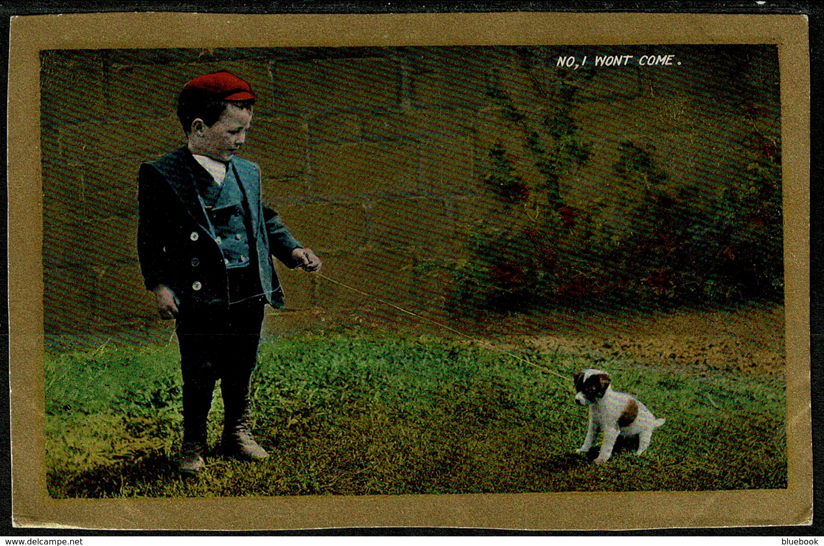 Ref 1266 - 1907 Comic Humour Postcard - Young Boy & Puppy Dog - "No I Wont Come" Taunton - Humour