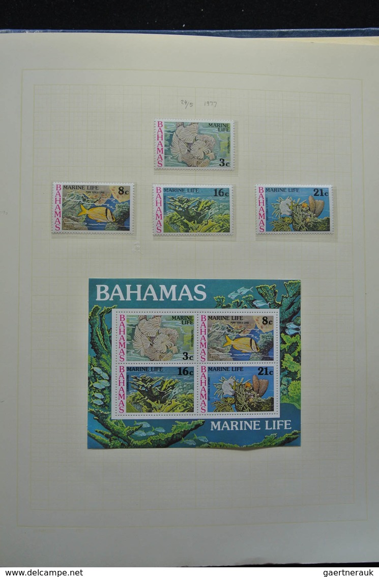 Bahamas: 1860-1996: Well filled, MNH, mint hinged and used collection Bahamas 1860-1996 in blanc alb