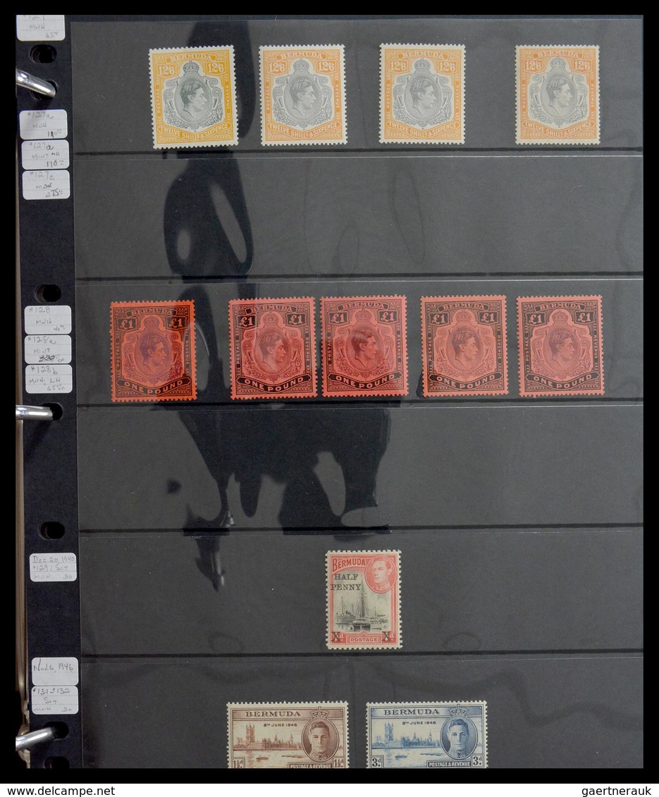 Bermuda-Inseln: 1865-2008: Very Well Filled, MNH, Mint Hinged And Used Collection Bermuda 1865-2008 - Bermuda