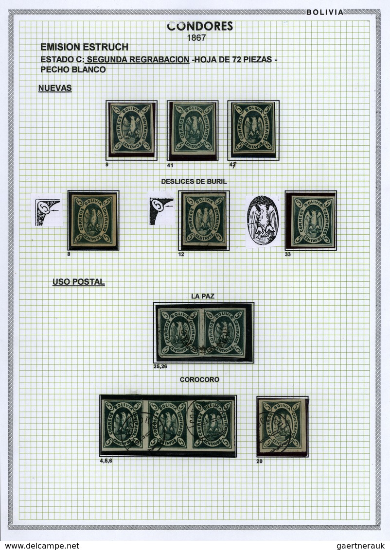 Bolivien: 1867: THE CONDOR ISSUE: A scarce and unique special collection of a most exciting classica