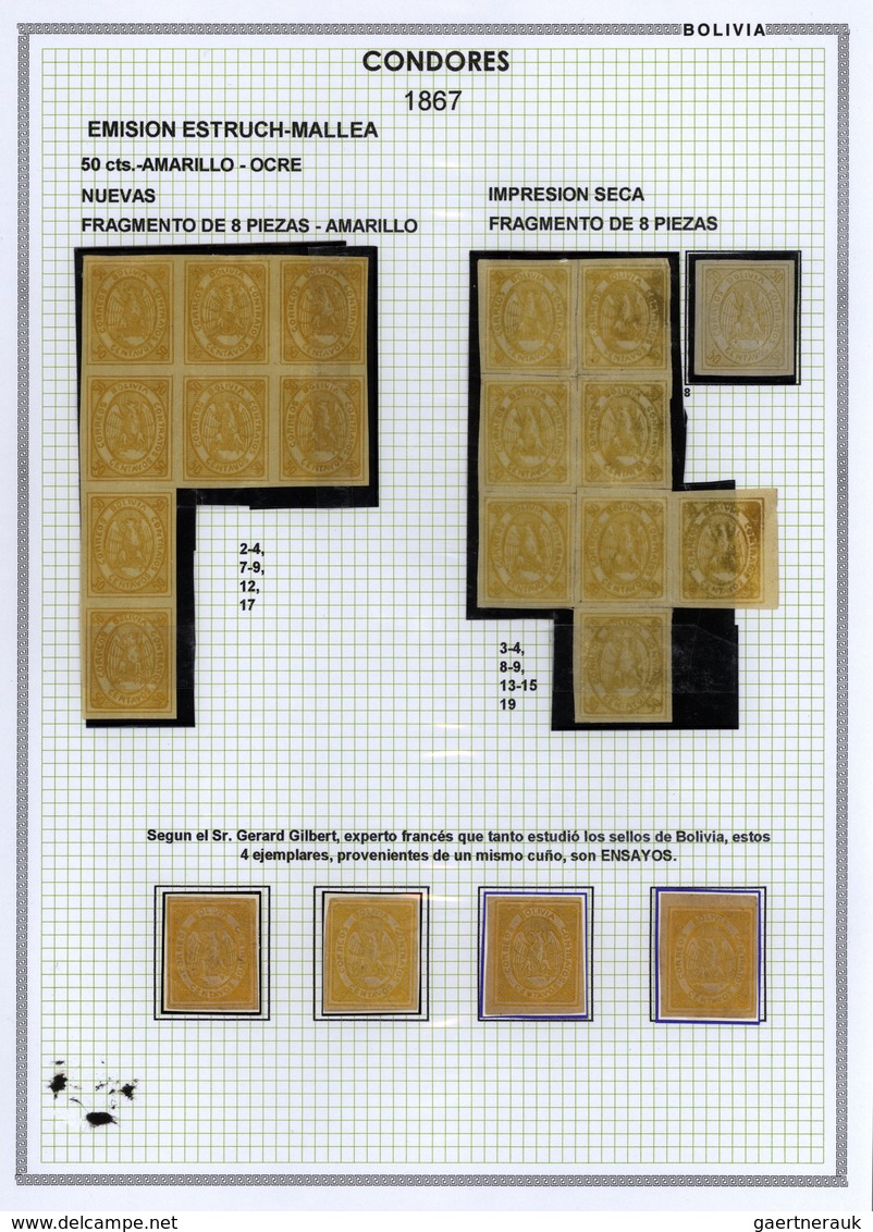 Bolivien: 1867: THE CONDOR ISSUE: A scarce and unique special collection of a most exciting classica