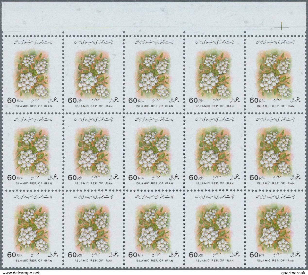 Iran: 1993, Flower Definitive 60r. Snowball (Viburnum Sp.) With INVERTED BLACK PRINTING In An Invest - Iran