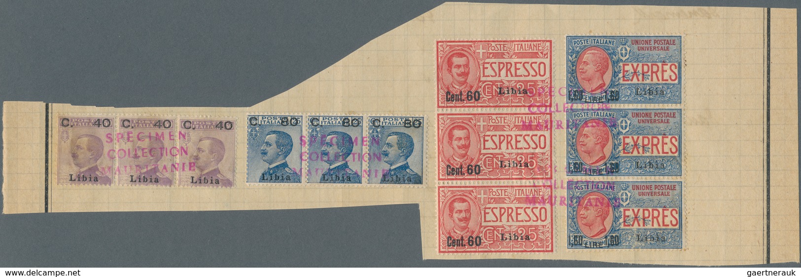 Italienisch-Libyen: 1930-1940 (ca). 16 Strips Of 3 On UPU Album Page (+ 2 Plain), Red Overprint "Spe - Libyen