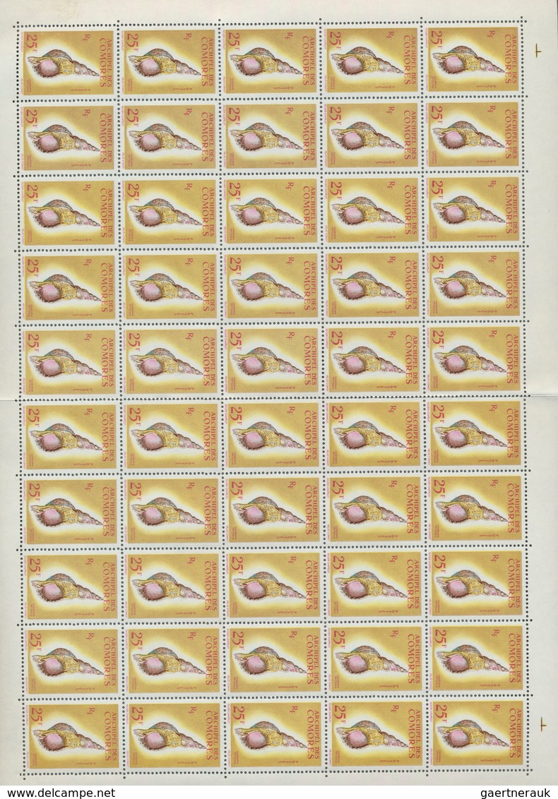 Komoren: 1962, Conches ‚Charonia Tritonis‘ 25fr. In A Lot With 1.100 Stamps In Complete (folded) She - Sonstige & Ohne Zuordnung