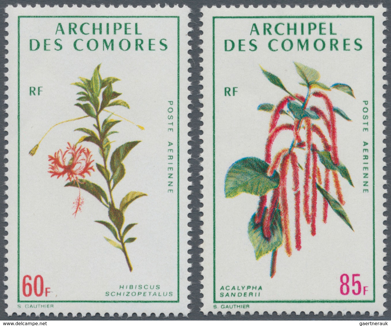 Komoren: 1971, Flowers Airmail Stamps 60fr. ‚Hibiscus Schizopetalus‘ And 85fr. ‚Acalypha Hispida‘ In - Sonstige & Ohne Zuordnung