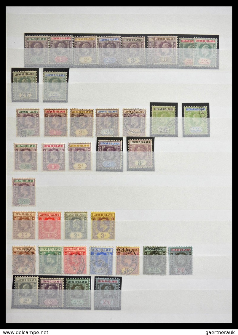 Leeward-Inseln: 1890-1954: Well Filled, MNH, Mint Hinged And Used Collection Leeward Islands 1890-19 - Leeward  Islands