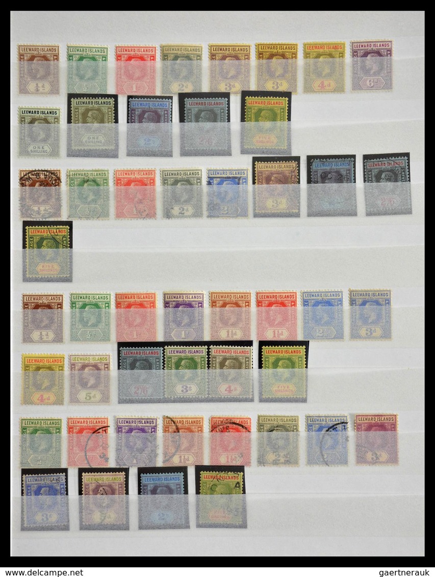 Leeward-Inseln: 1890-1954: Well Filled, MNH, Mint Hinged And Used Collection Leeward Islands 1890-19 - Leeward  Islands