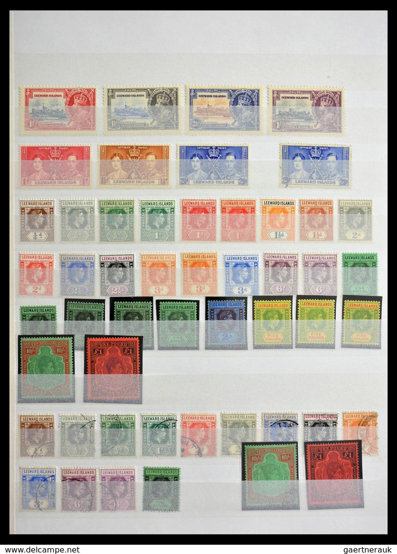 Leeward-Inseln: 1890-1954: Well Filled, MNH, Mint Hinged And Used Collection Leeward Islands 1890-19 - Leeward  Islands