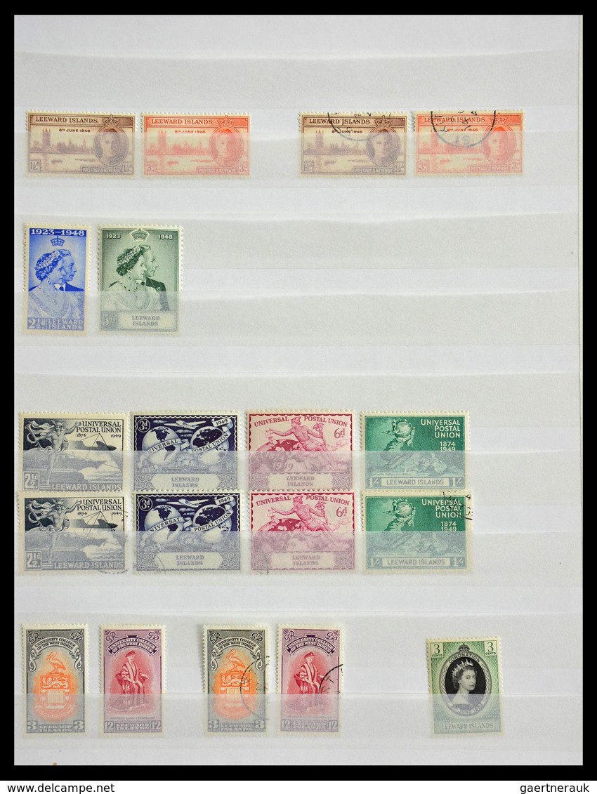 Leeward-Inseln: 1890-1954: Well Filled, MNH, Mint Hinged And Used Collection Leeward Islands 1890-19 - Leeward  Islands