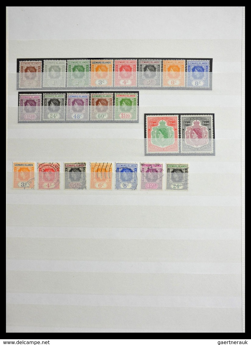 Leeward-Inseln: 1890-1954: Well Filled, MNH, Mint Hinged And Used Collection Leeward Islands 1890-19 - Leeward  Islands