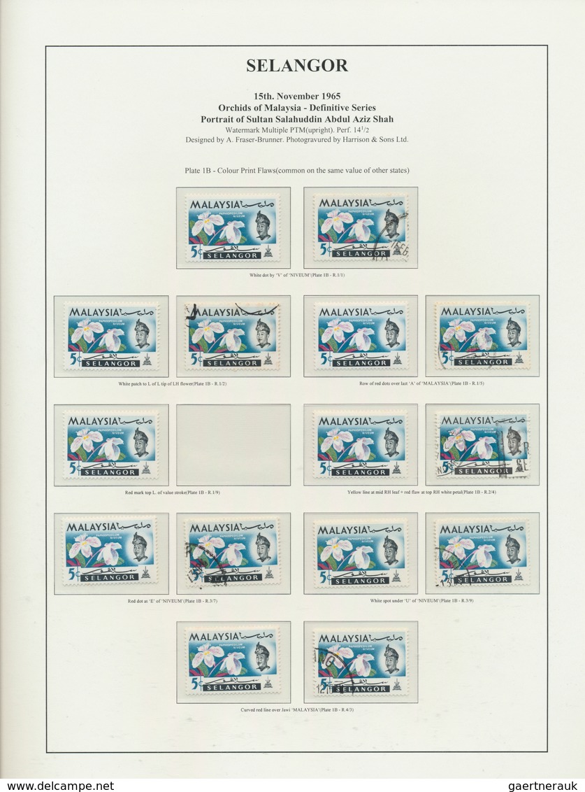 Malaiische Staaten - Selangor: 1965, Orchids, specialised collection of apprx. 2.500 stamps on writt