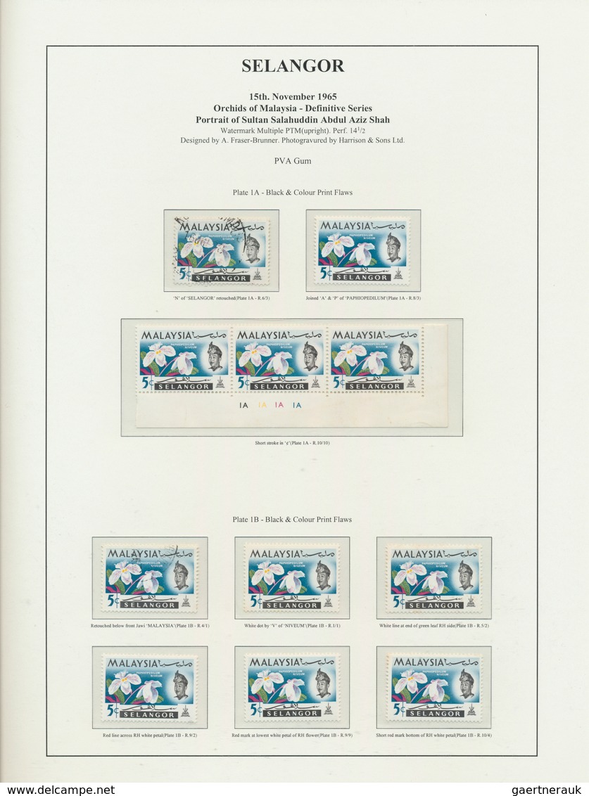 Malaiische Staaten - Selangor: 1965, Orchids, specialised collection of apprx. 2.500 stamps on writt