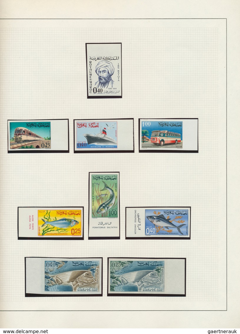 Marokko: 1962/1981, U/m Collection Of Apprx. 360 Different IMPERFORATE Stamps, Neatly Arranged On Al - Ungebraucht