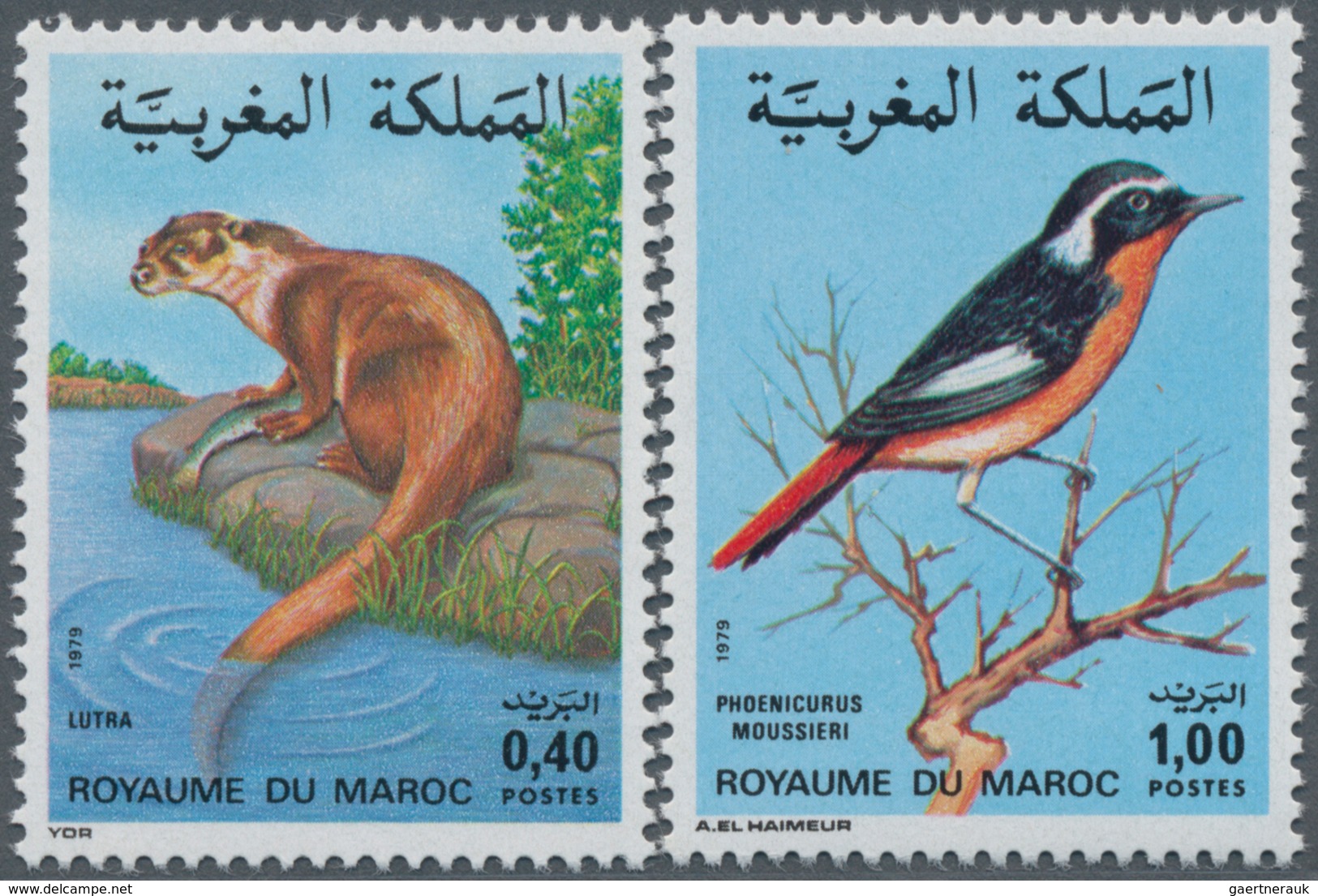 Marokko: 1979, Animals Set Of Two 0.40dh. Otter (‚Lutra Lutra‘) And 1.00dh. Bird (‚Phoencurus Moussi - Ungebraucht