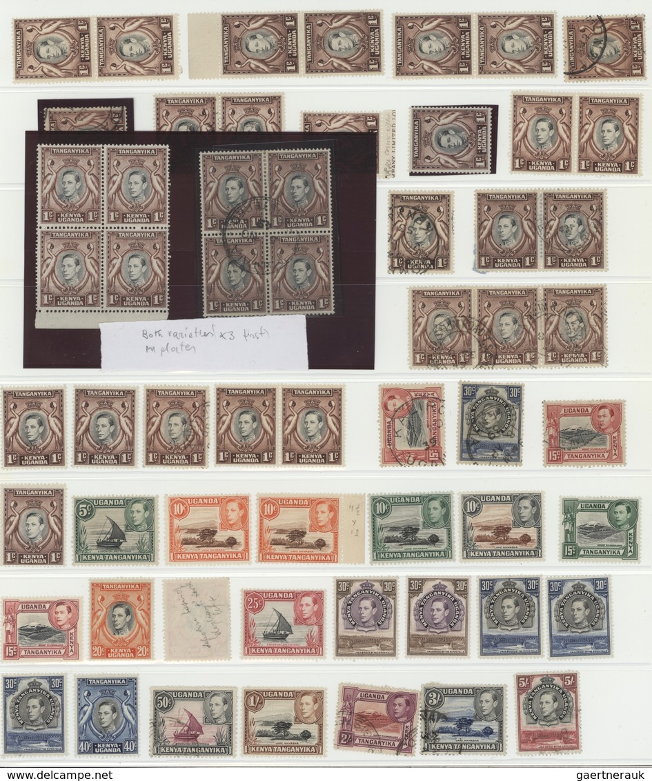 Ostafrikanische Gemeinschaft: 1904/1970 (ca.), Comprehensive Mint And Used Collection In A Binder, W - Britisch-Ostafrika