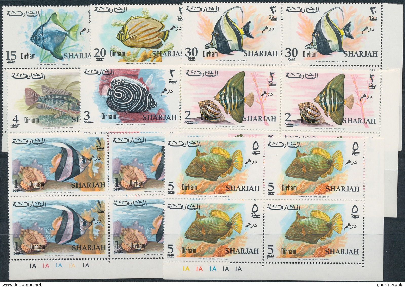 Schardscha / Sharjah: 1966, Fish, Investment Lot Of At Least 50 Sets Mint Never Hinged, Probably Mor - Schardscha