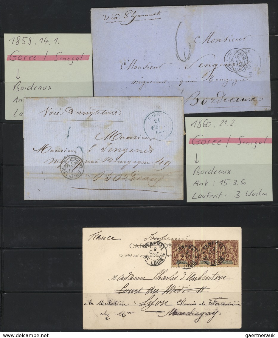 Senegal: 1865/1910 (ca.), Mint And Used Collection On Stockpages, From Some General Issues With Bett - Altri & Non Classificati