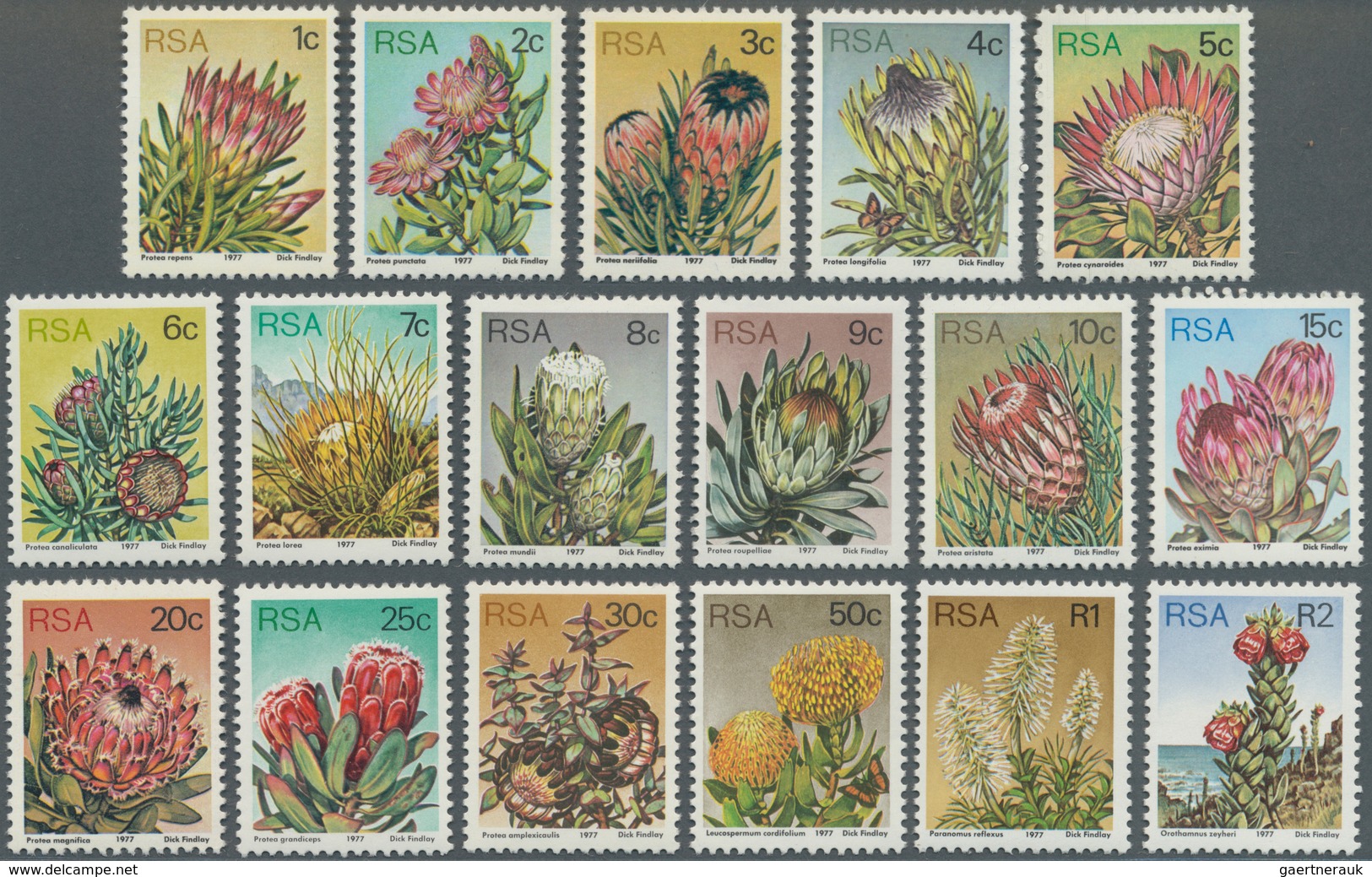 Südafrika: 1977, Definitive Issue ‚flowers‘ (proteus Plants) Complete Set Of 17 In A Lot With 100 Se - Gebraucht